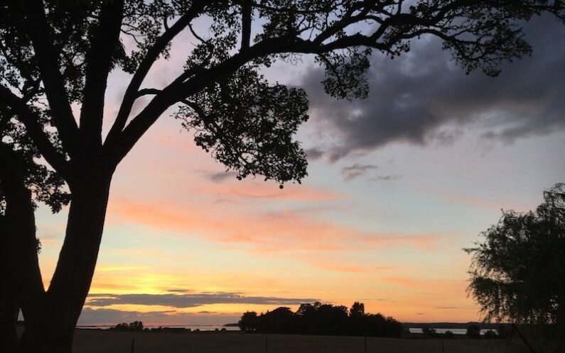 Solnedgang, pæretræet i silhuet og ud over markerne